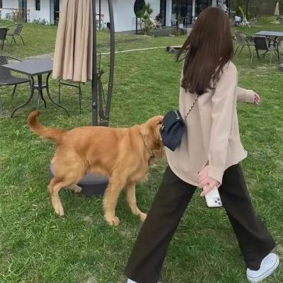 爱在离婚进行时